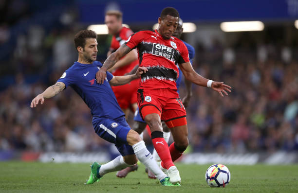 阿根廷球星 阿根廷球星