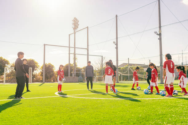 明星球员的 明星球员的